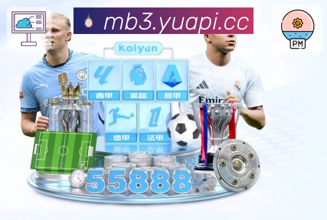 省流模式 - 清晰度与流量控制